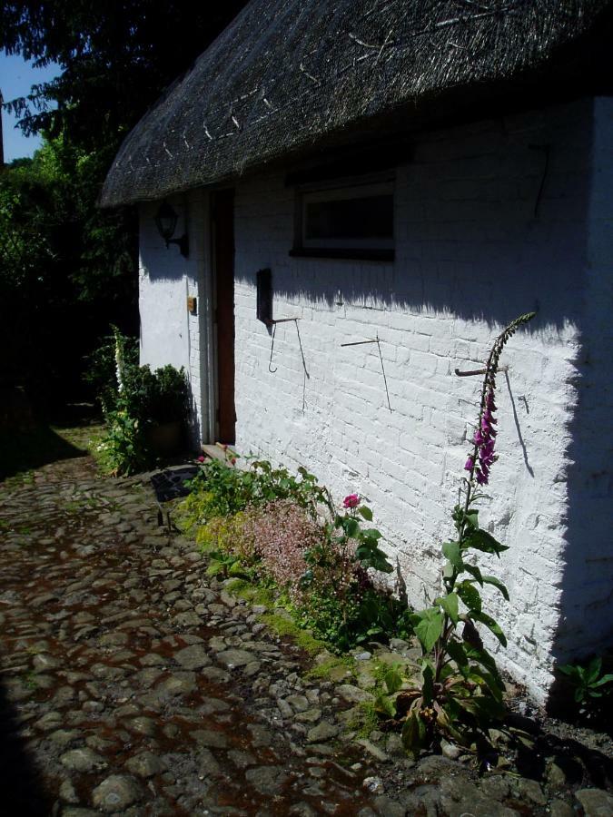 Stable Cottage Devizes Exterior photo